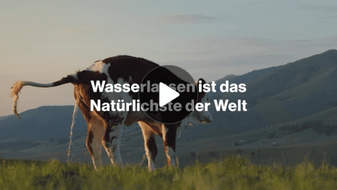 Life-Toilette-Balance mit Torasemid Hexal®